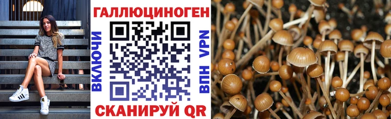 Галлюциногенные грибы мицелий  omg tor  Железногорск-Илимский 
